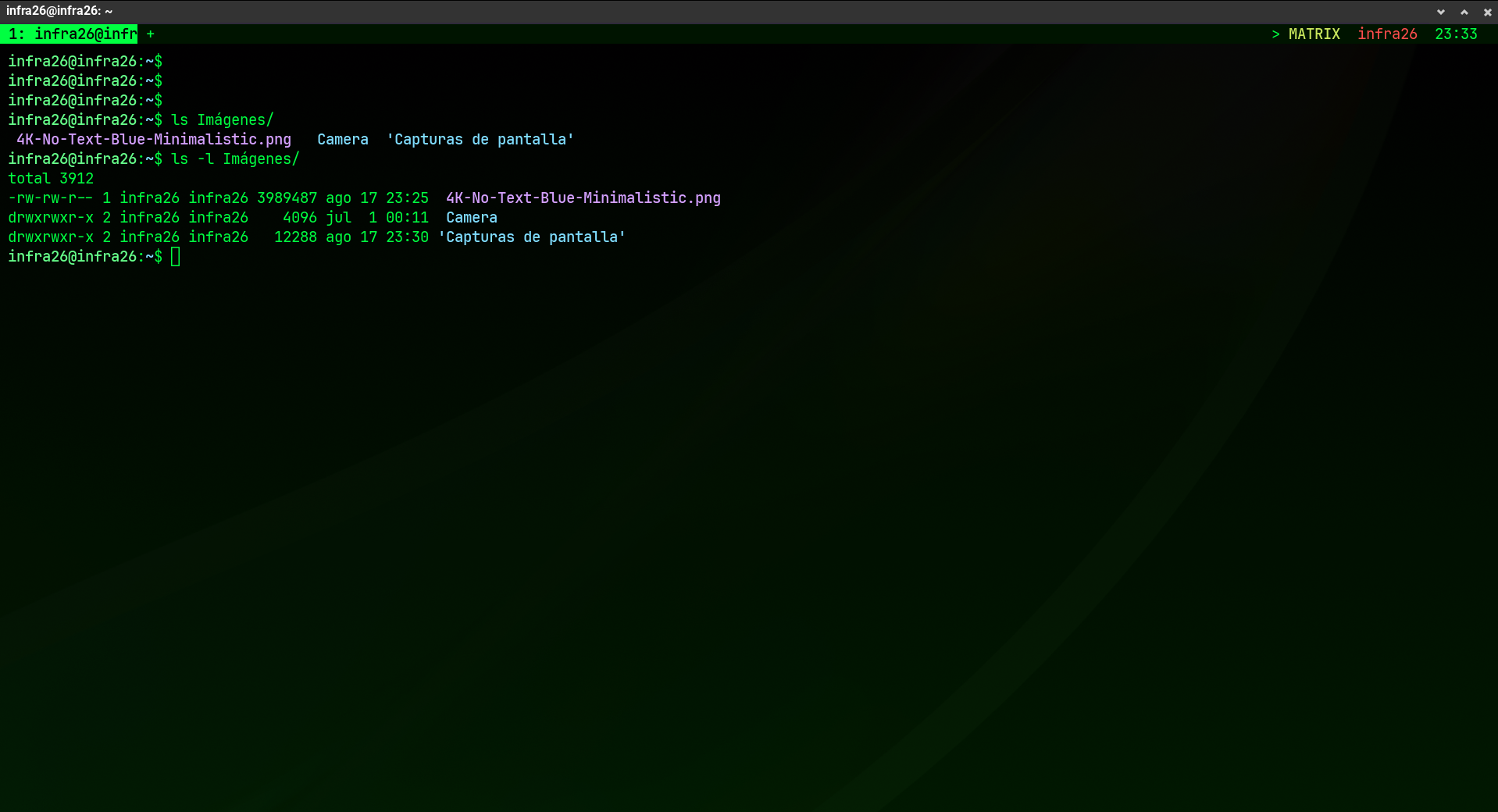 Tema Matrix
